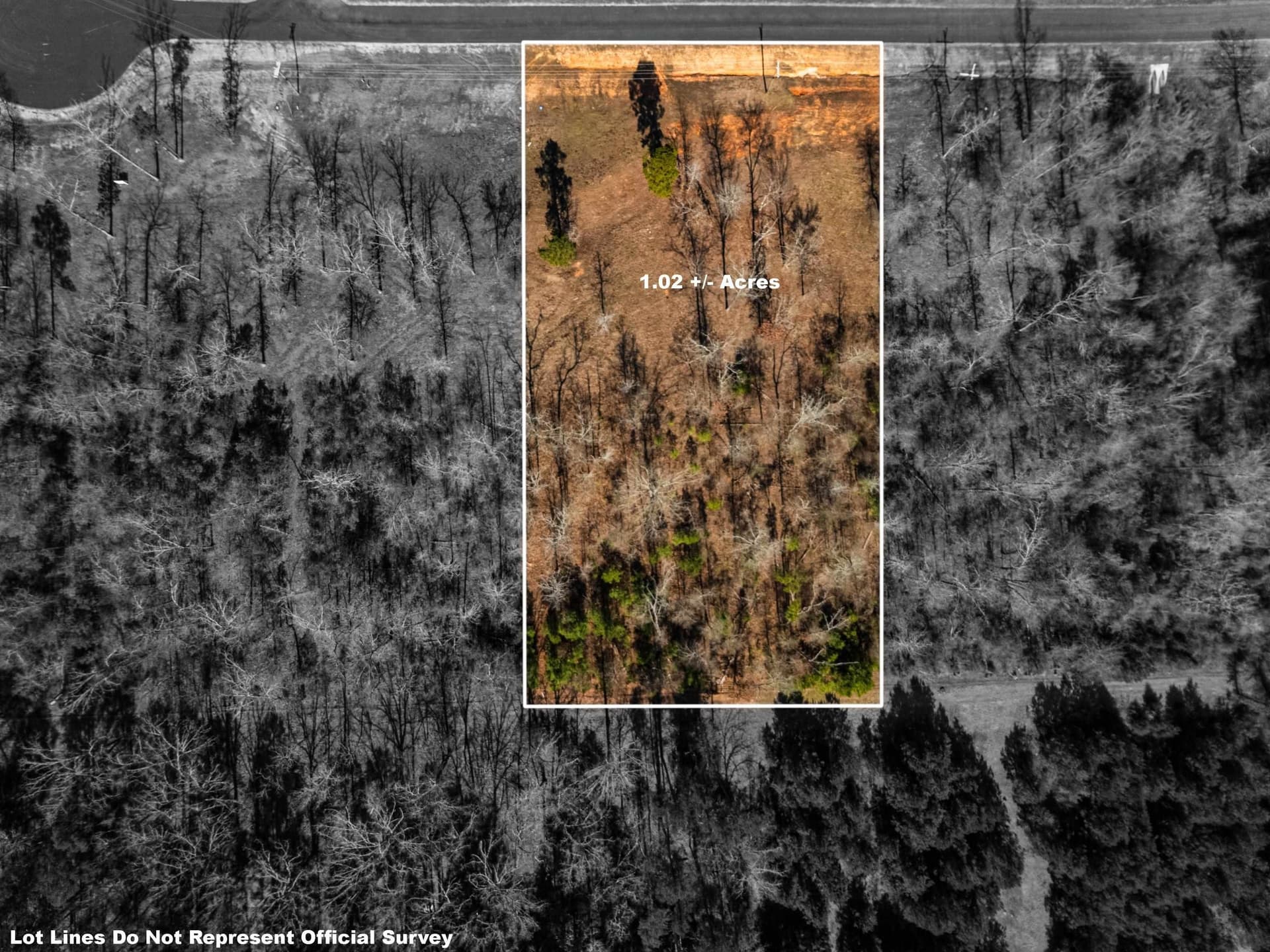1.02 acres in Texas County featured view