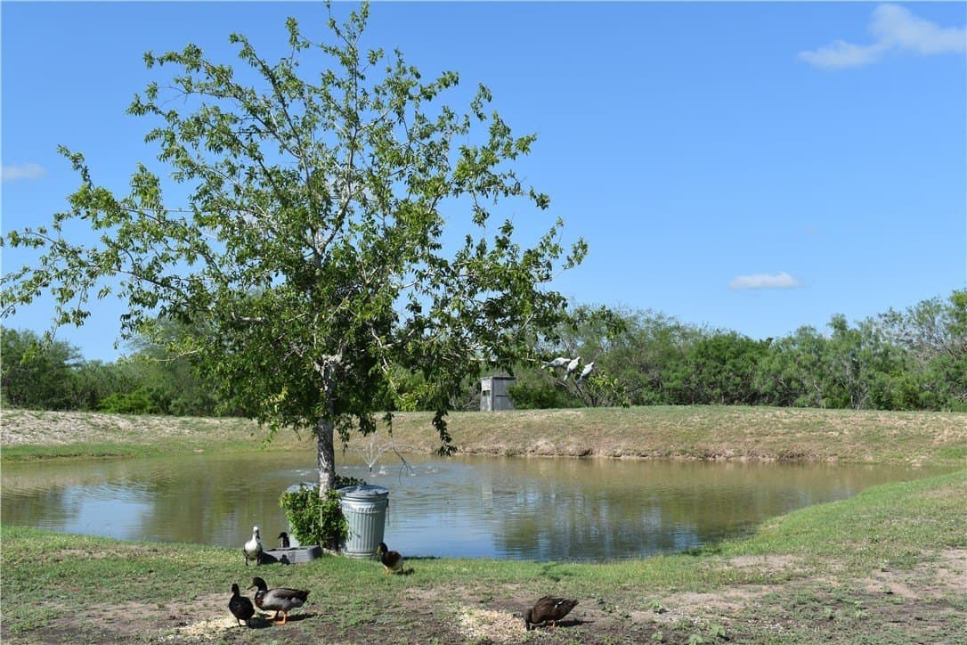 14 acres in Jim Wells County gallery image 2