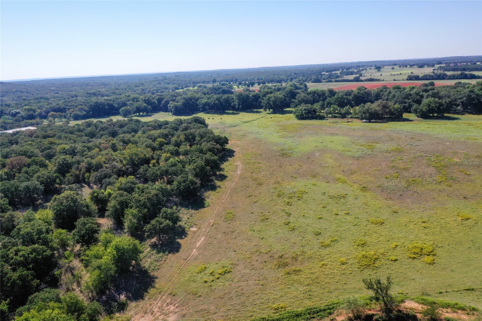 85.2 acres in Wise County - photo 10