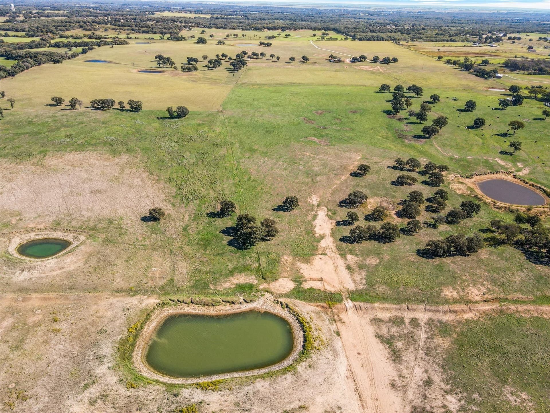 313.15 acres in Hill County - photo 37