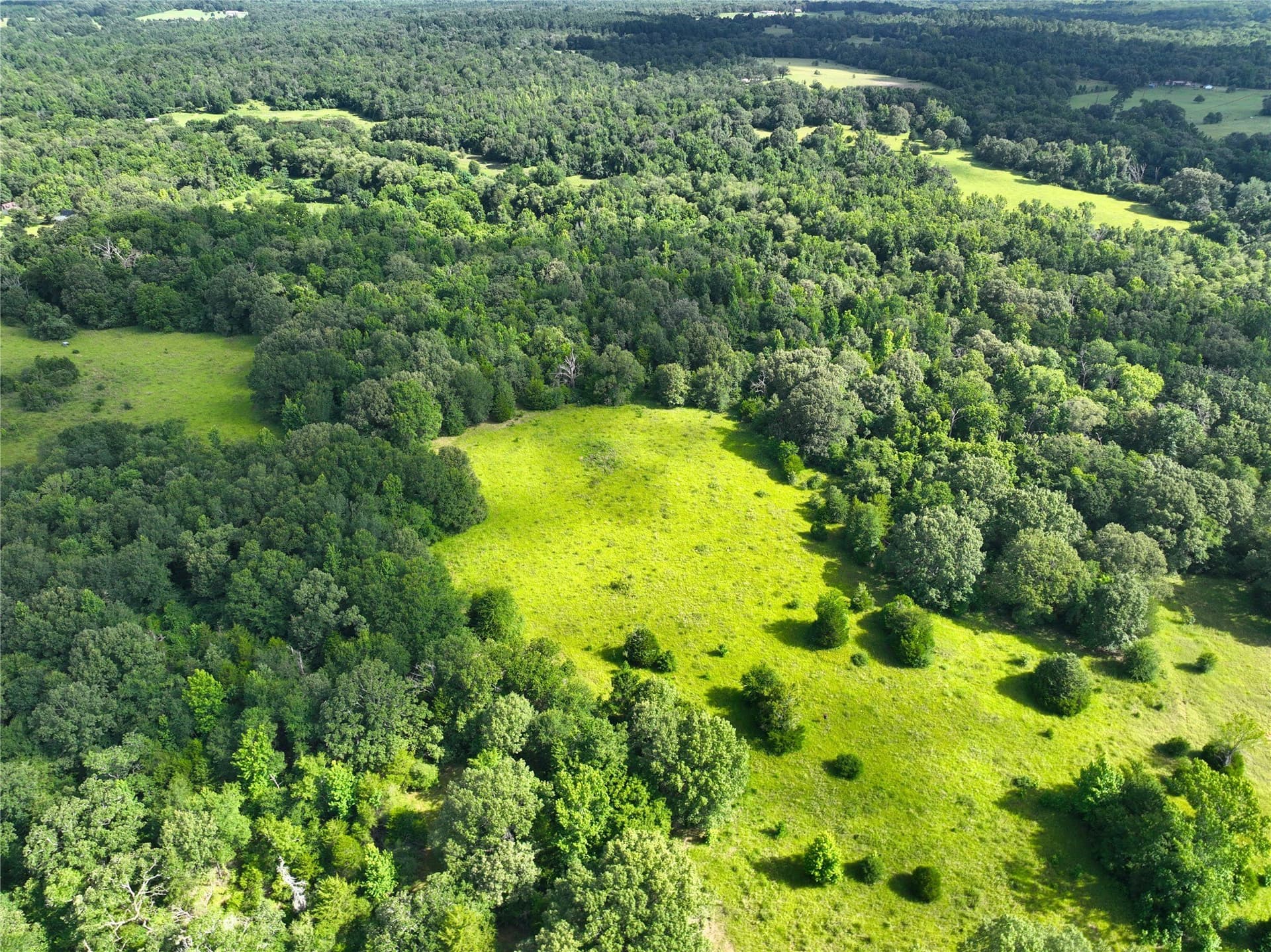 54.12 acres in Freestone County - photo 8