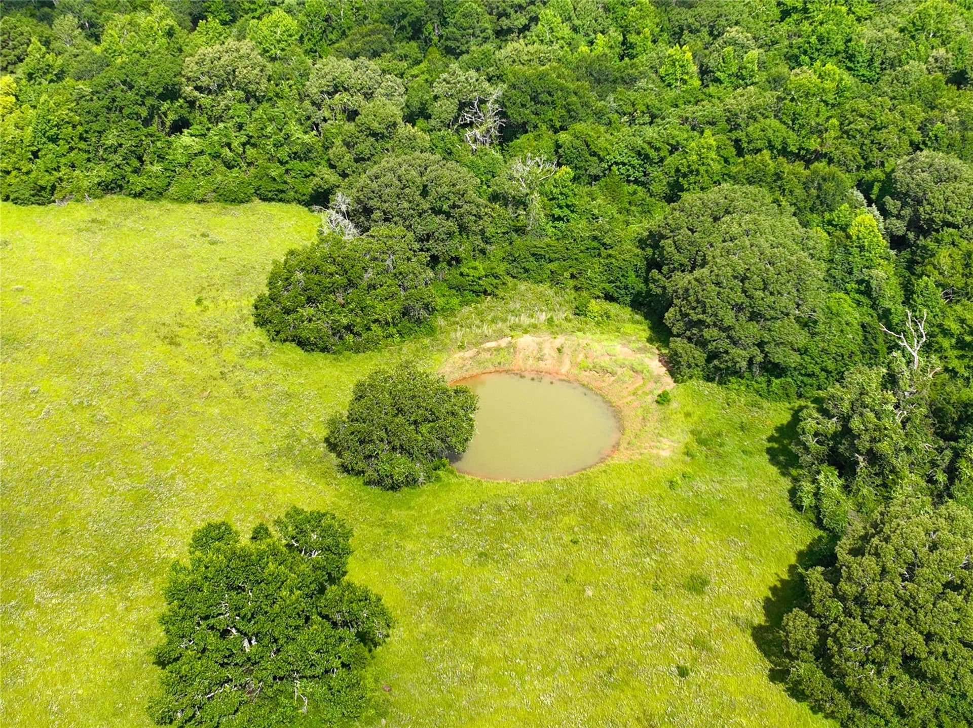 54.12 acres in Freestone County - photo 2