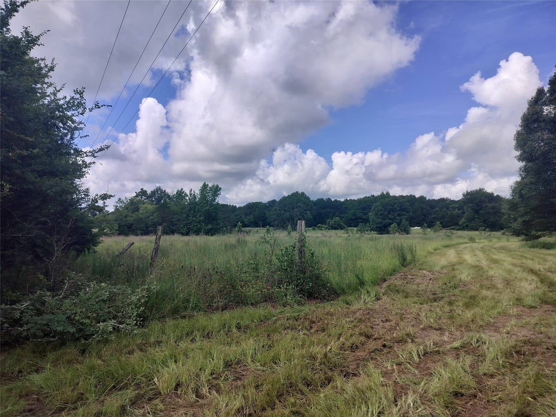 54.12 acres in Freestone County - photo 13