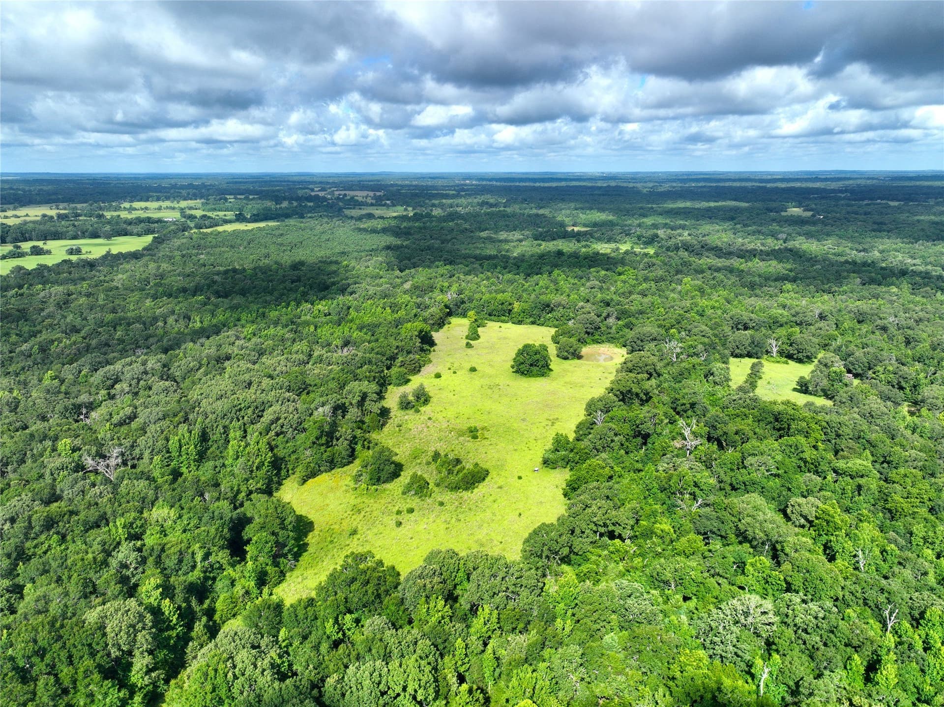 54.12 acres in Freestone County - photo 11