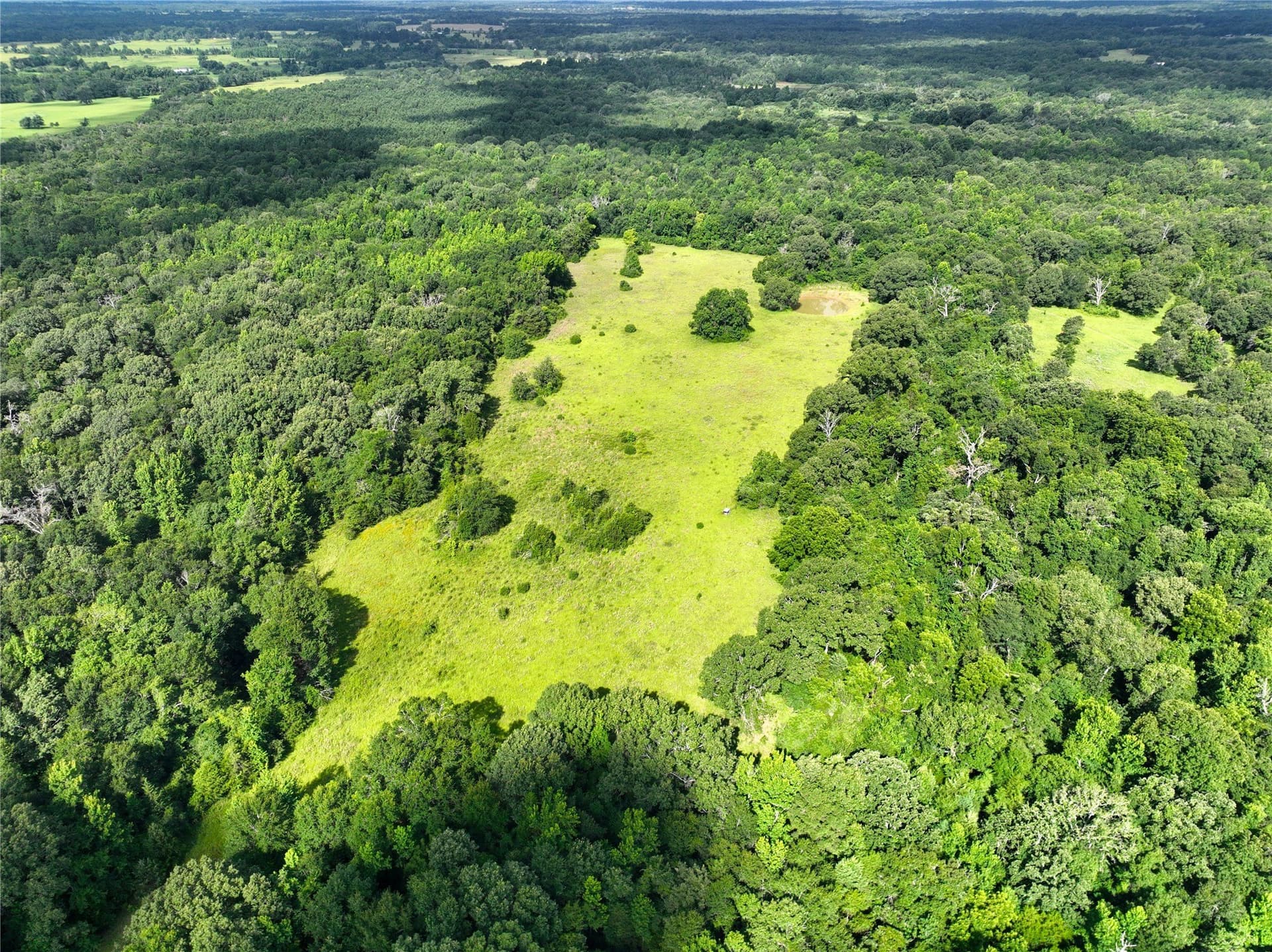 54.12 acres in Freestone County - photo 10
