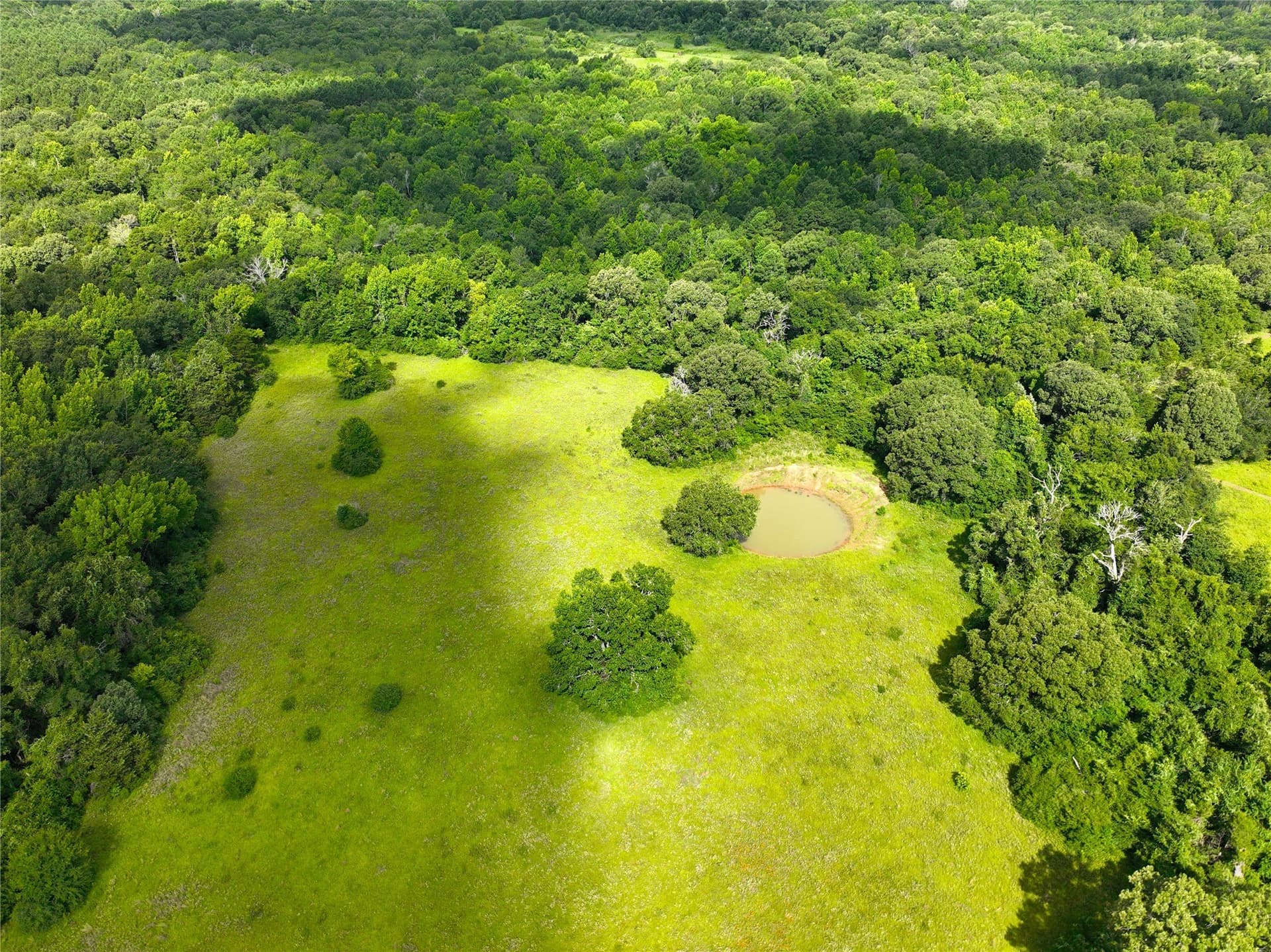 54.12 acres in Freestone County - photo 12