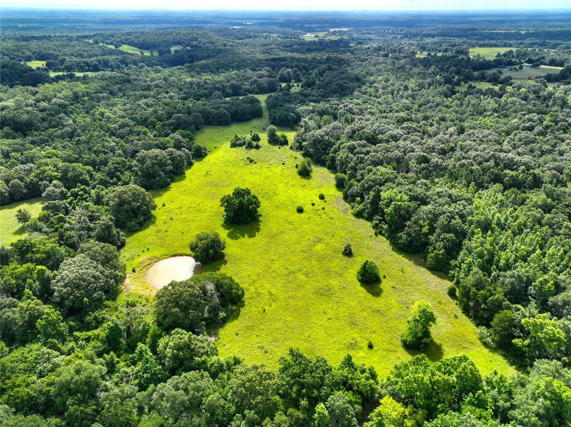54.12 acres in Freestone County