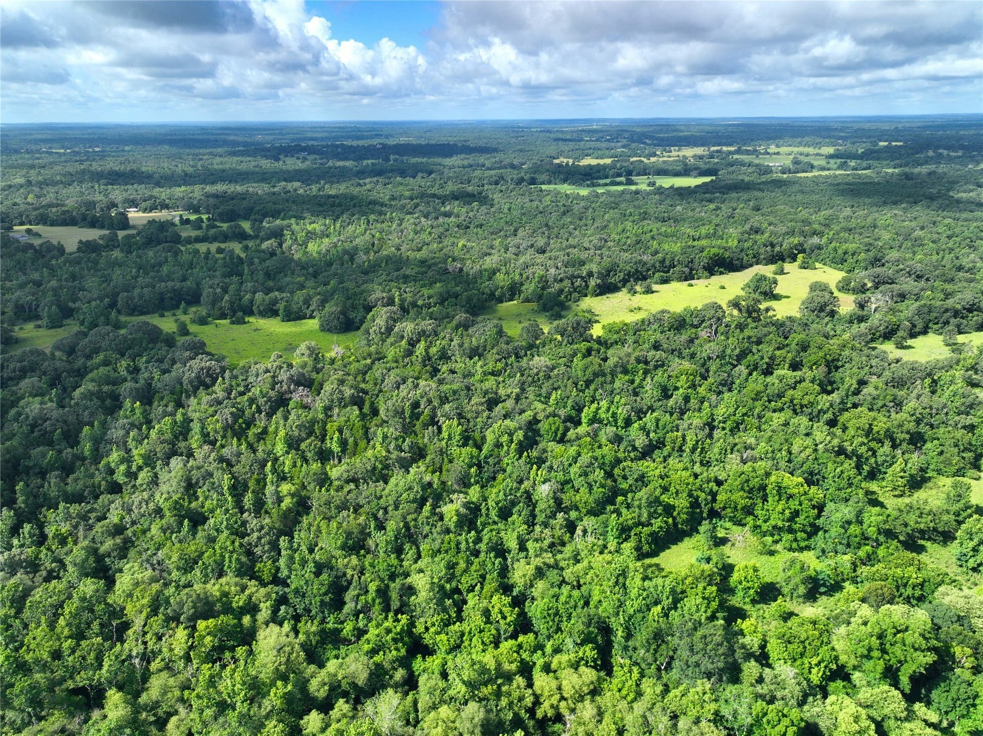 54.12 acres in Freestone County - photo 9