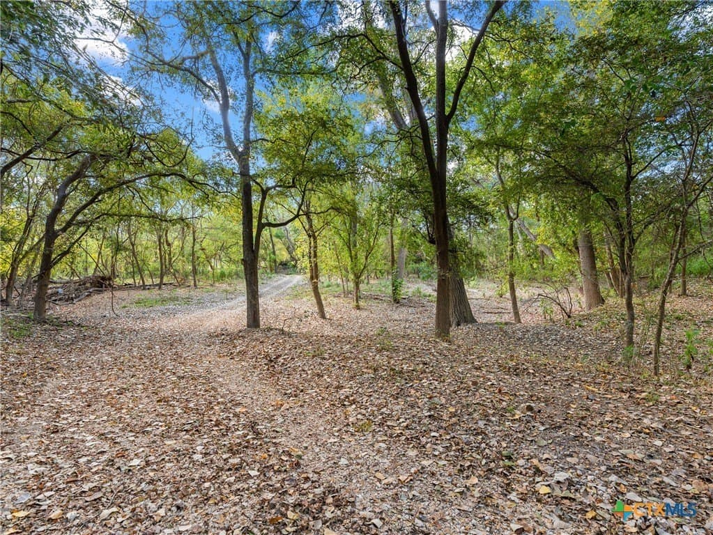 12.44 acres in Guadalupe County - photo 9