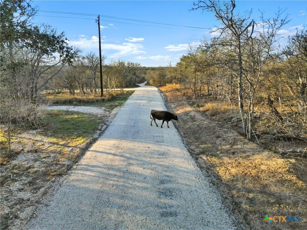 12.44 acres in Guadalupe County - photo 16