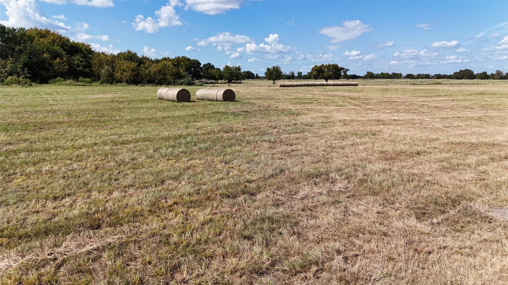 20 acres in Navarro County - photo 10