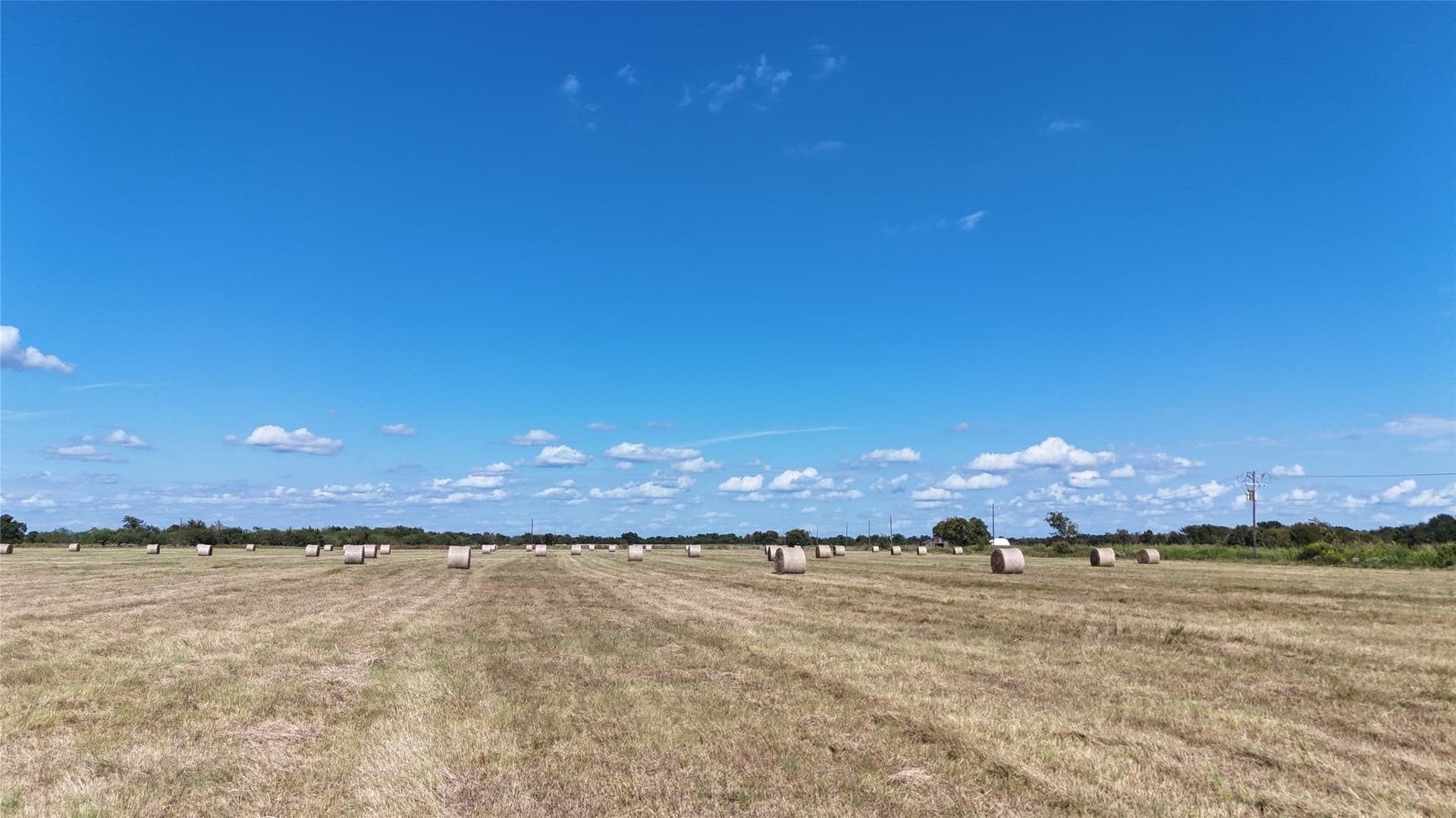 20 acres in Navarro County - photo 33