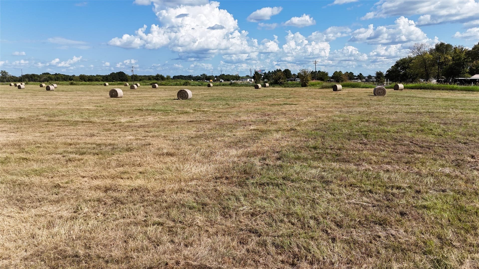 20 acres in Navarro County - photo 21