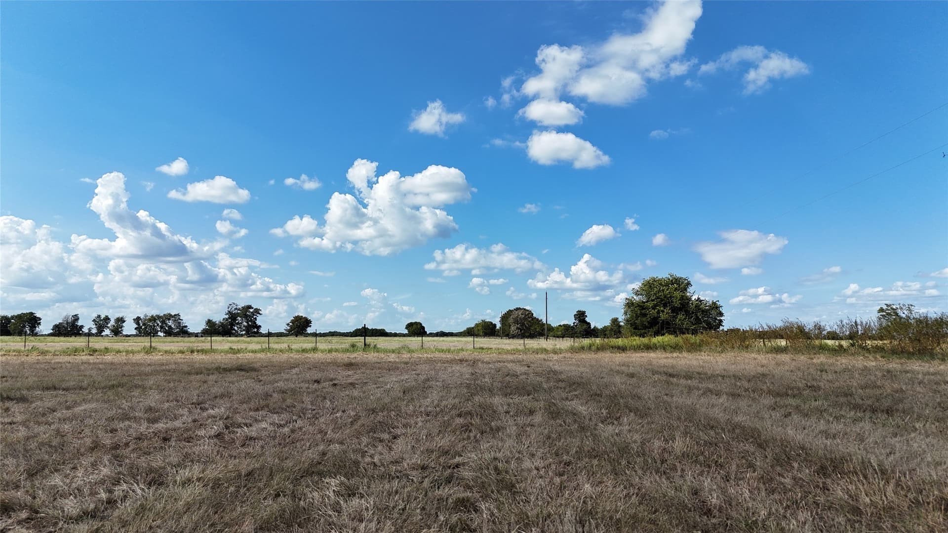 20 acres in Navarro County - photo 18