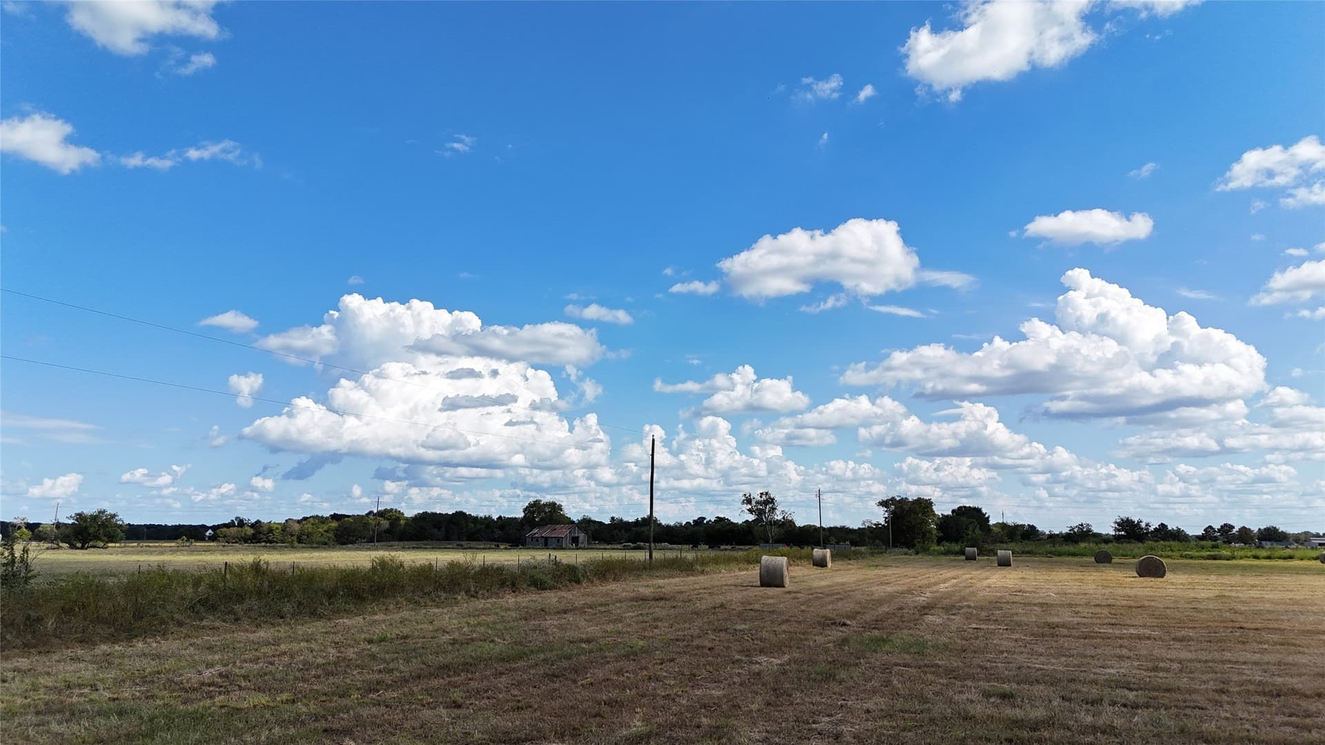 20 acres in Navarro County - photo 38