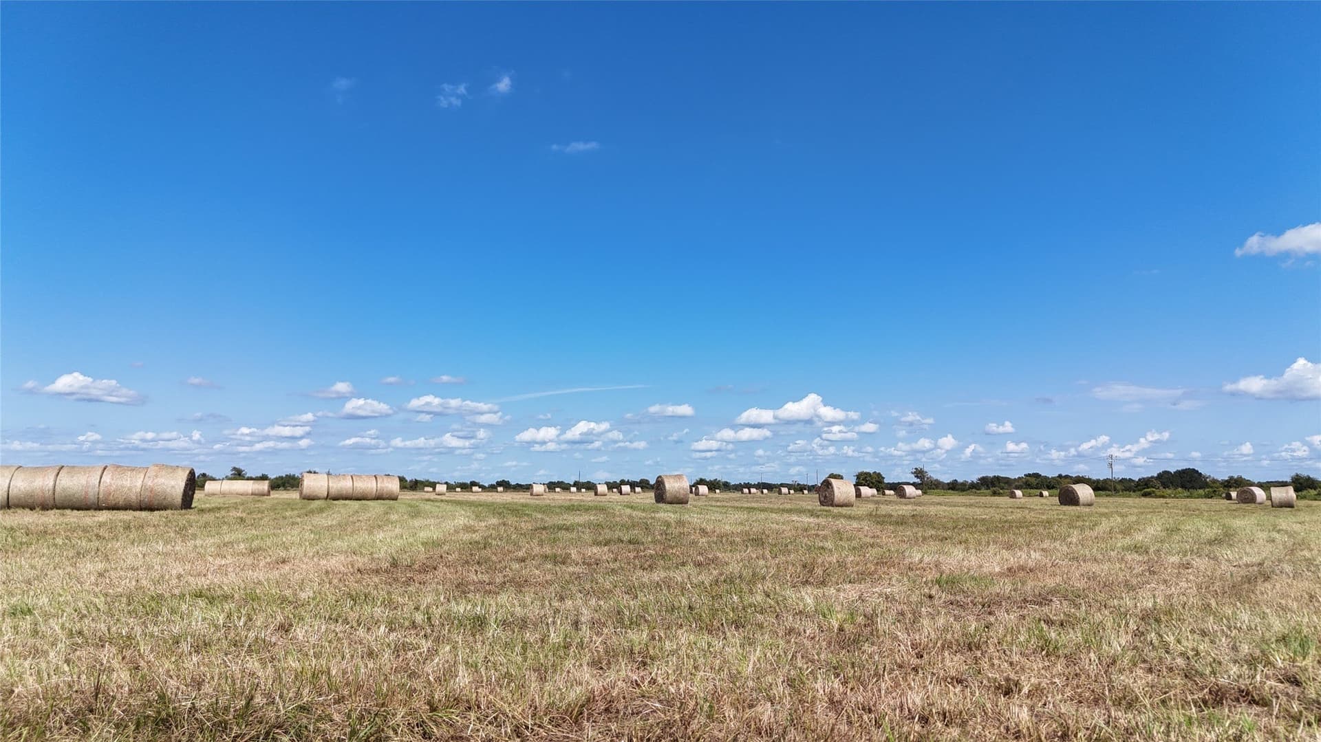20 acres in Navarro County - photo 14