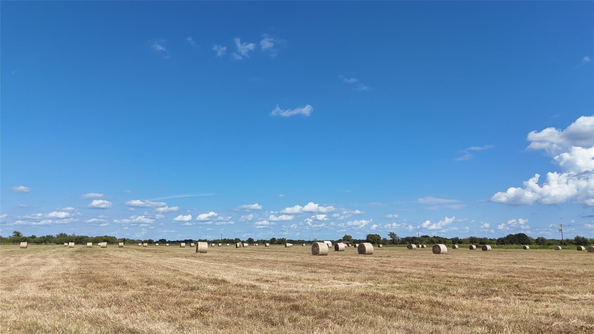 20 acres in Navarro County - photo 25