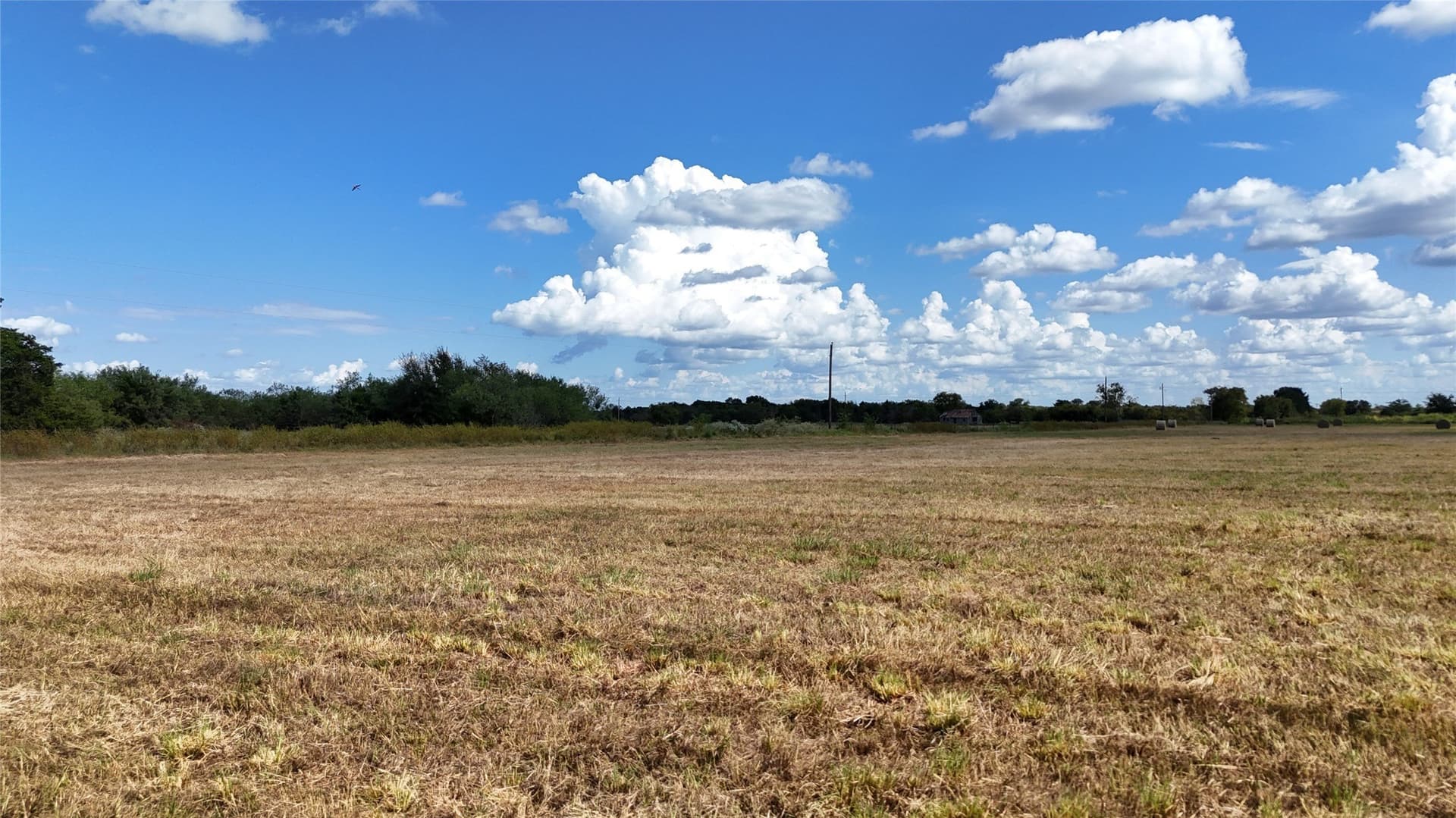20 acres in Navarro County - photo 6