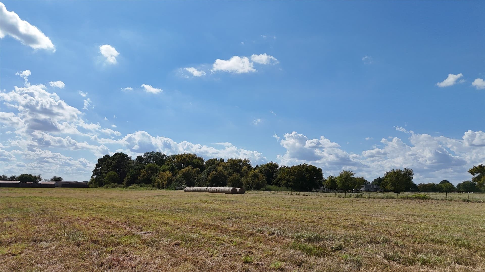 20 acres in Navarro County - photo 28