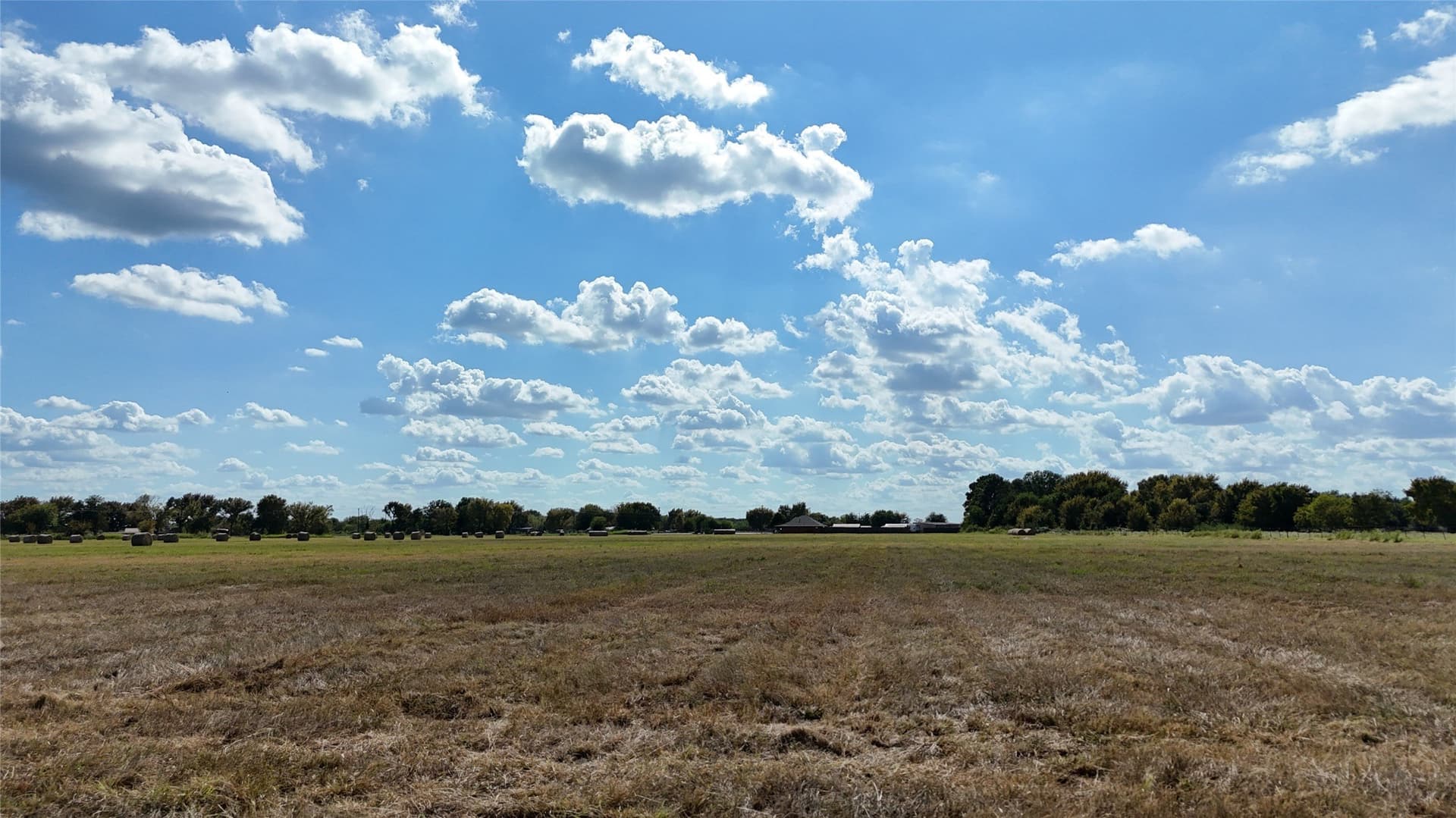 20 acres in Navarro County - photo 5