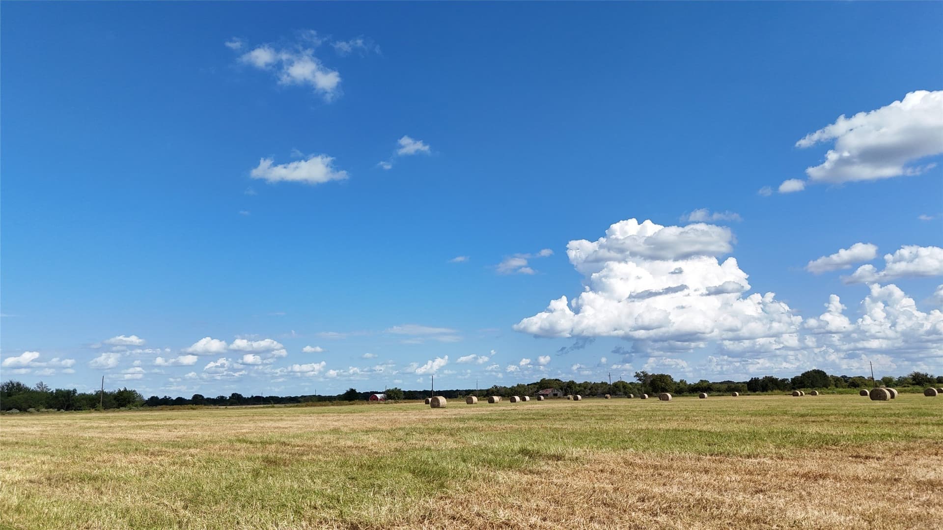 20 acres in Navarro County - photo 30