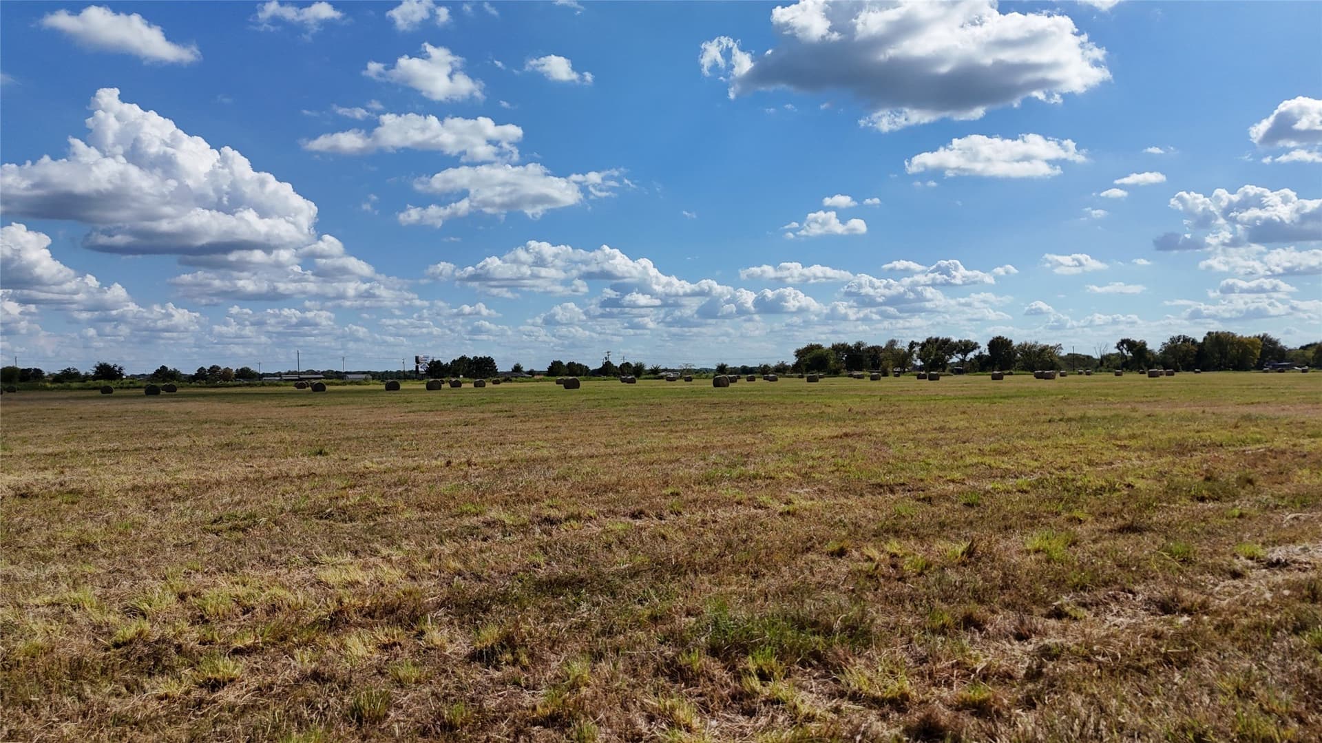 20 acres in Navarro County - photo 20