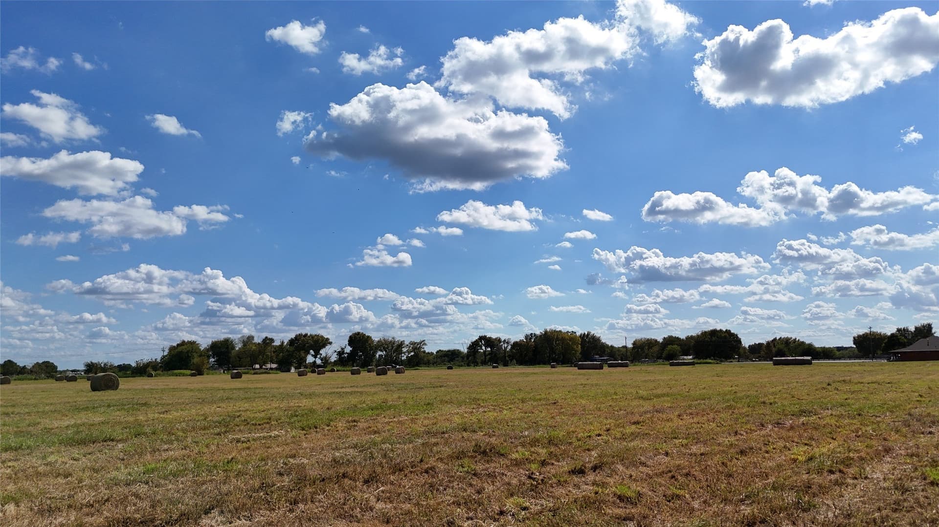 20 acres in Navarro County - photo 40