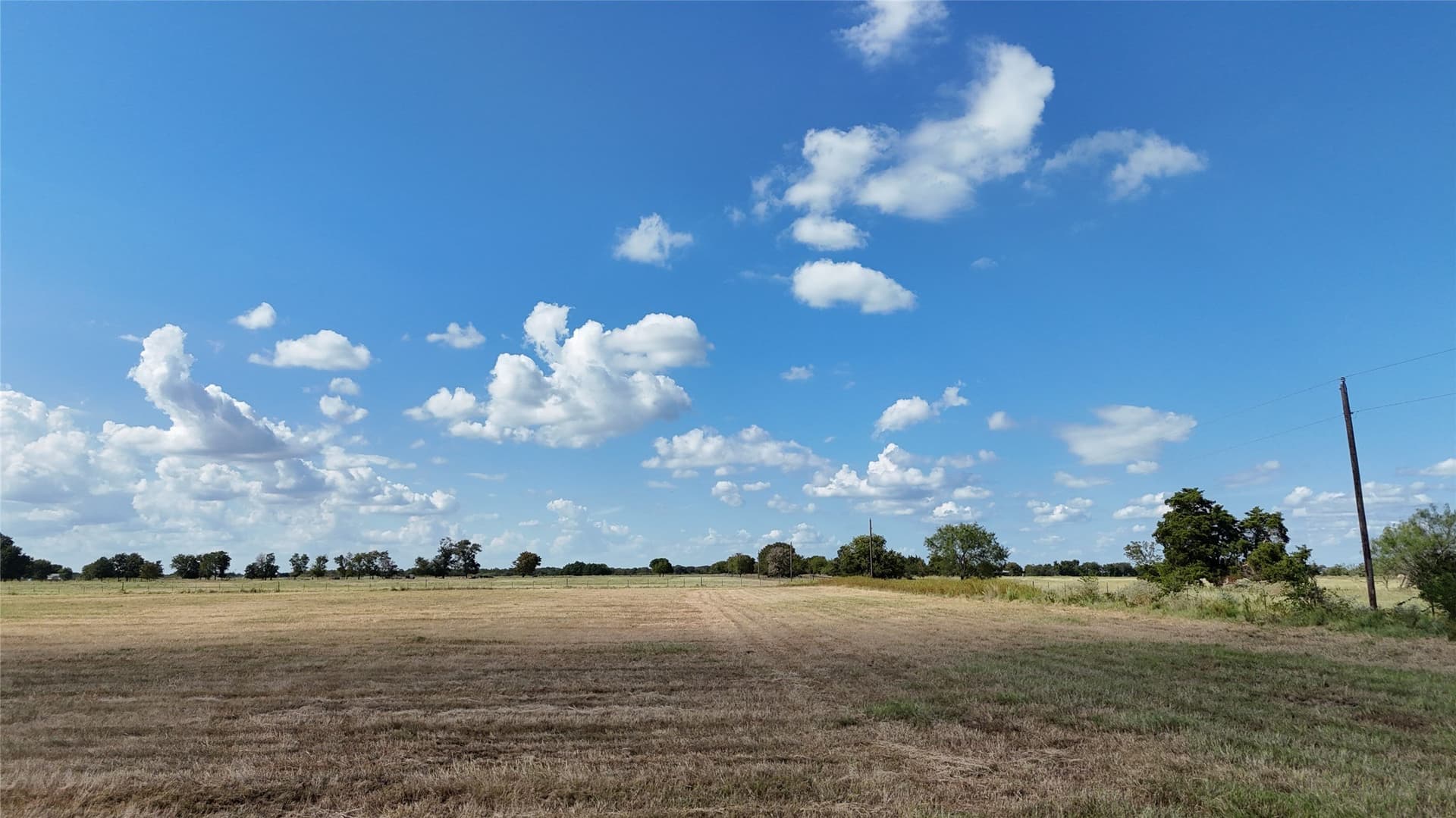 20 acres in Navarro County - photo 16