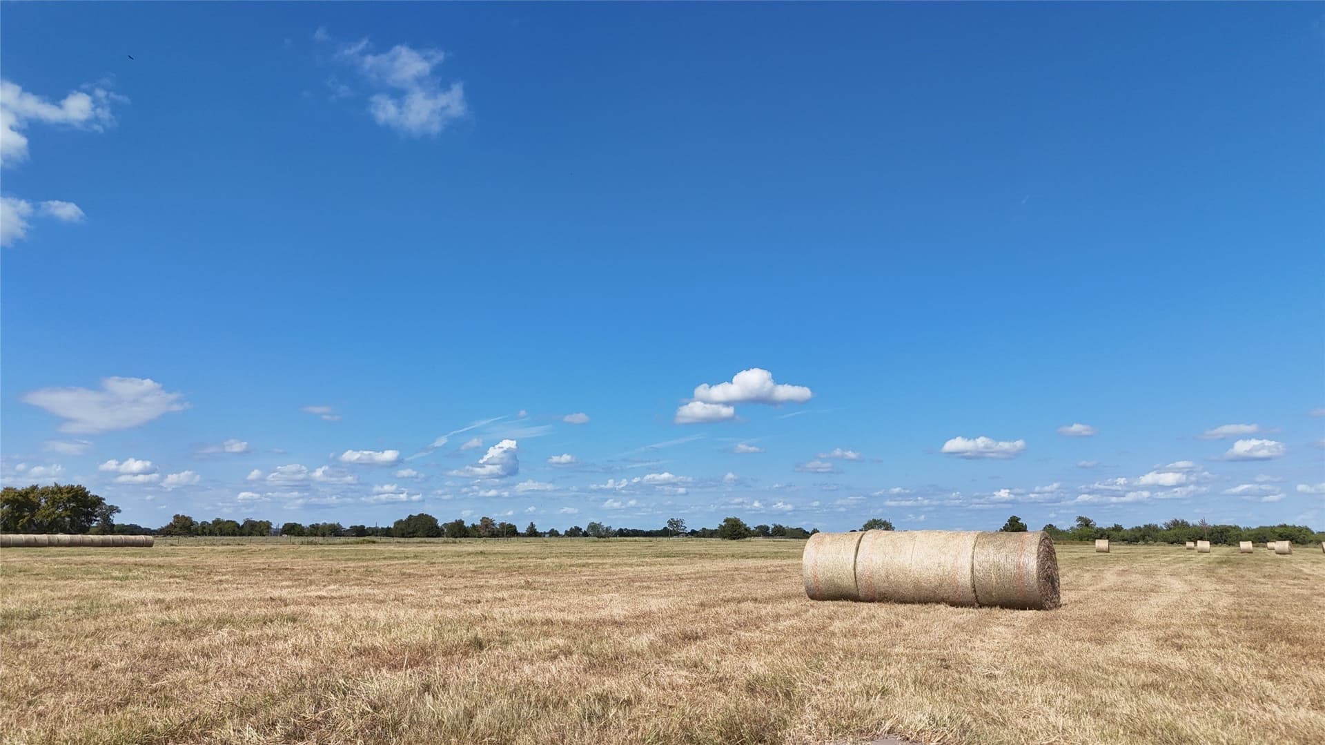 20 acres in Navarro County - photo 23
