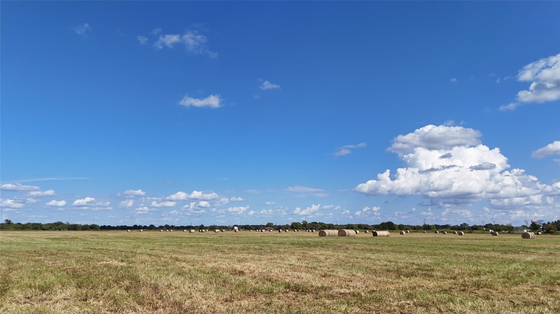 20 acres in Navarro County - photo 34