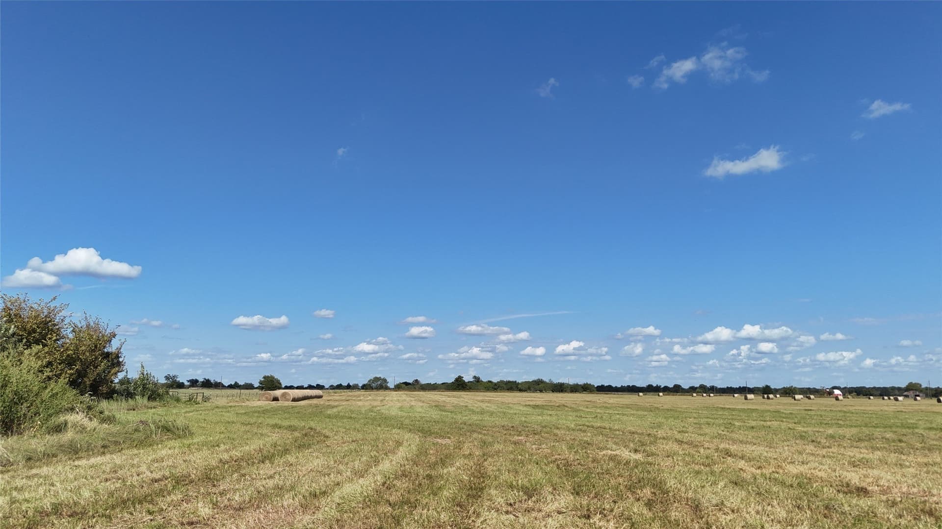 20 acres in Navarro County - photo 32