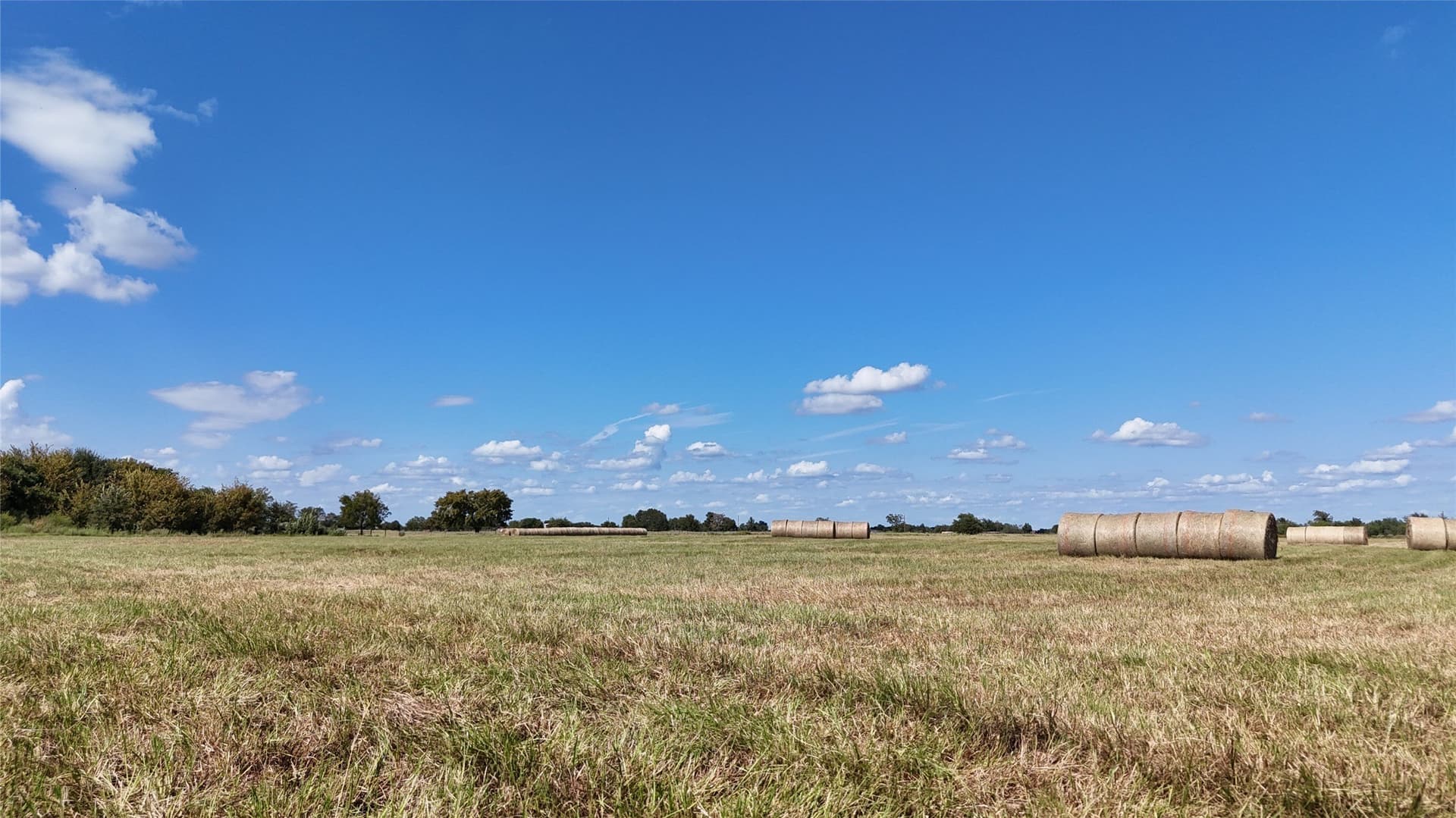 20 acres in Navarro County - photo 13