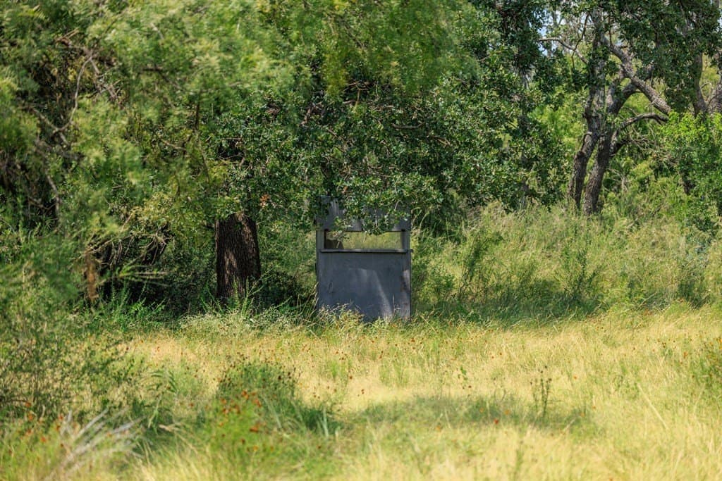 56 acres in Gillespie County gallery image 2