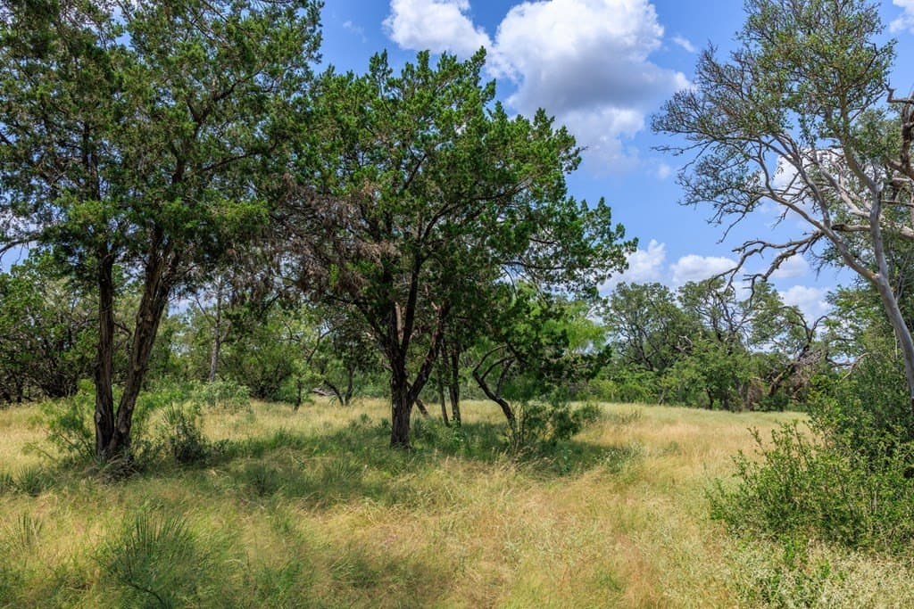 56 acres in Gillespie County gallery image 4