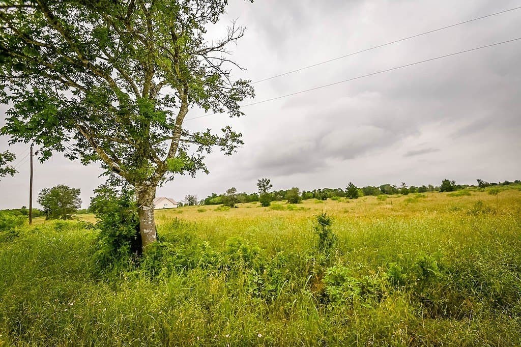 7.84 acres in Gonzales County - photo 6