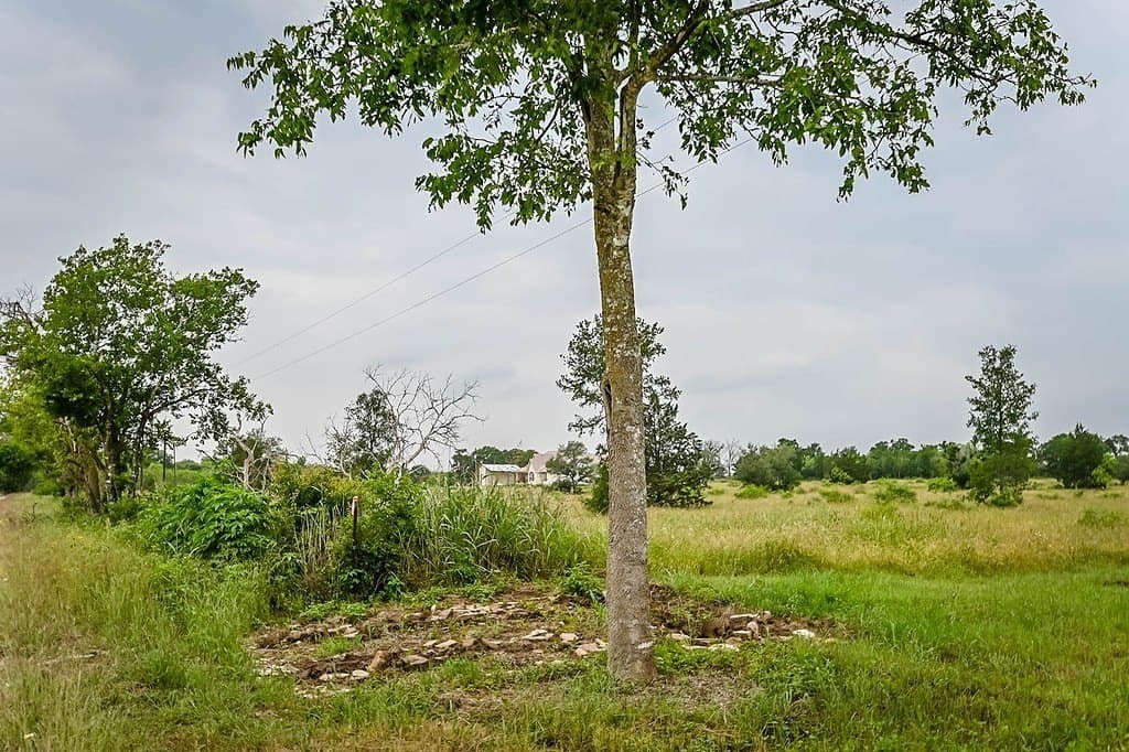 7.84 acres in Gonzales County - photo 9