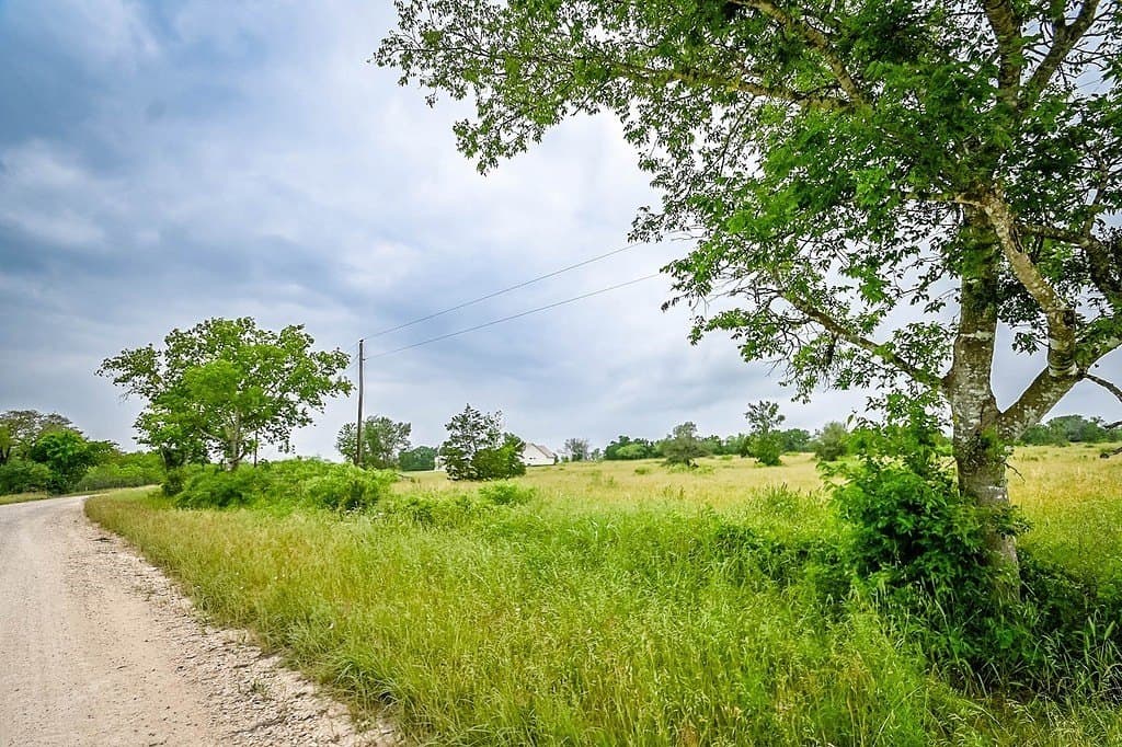 7.84 acres in Gonzales County gallery image 4