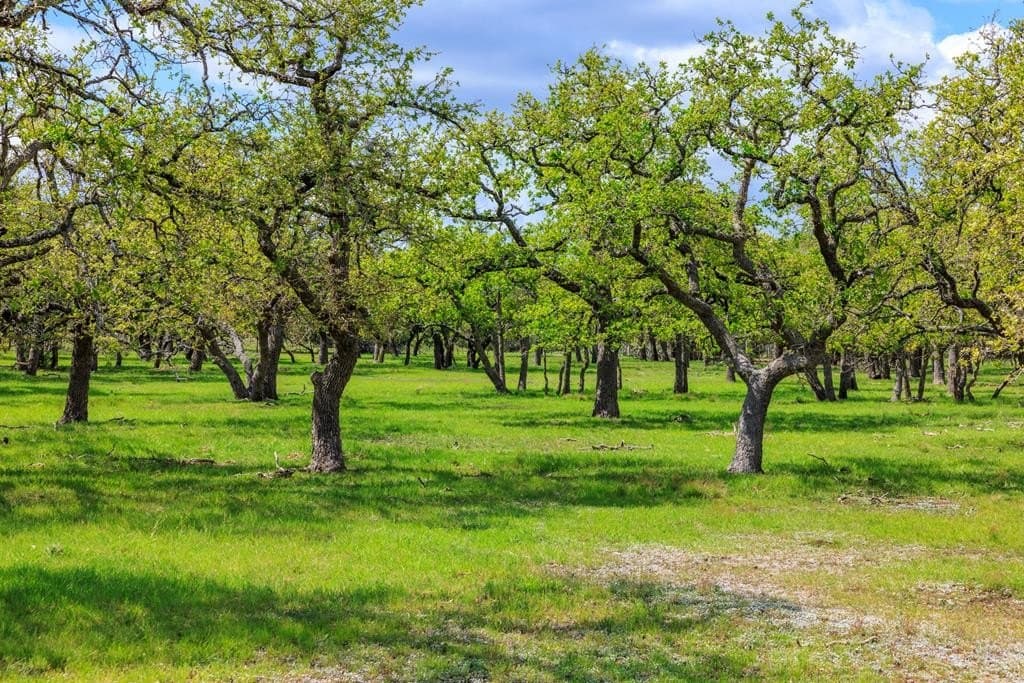 10.34 acres in Gillespie County featured view