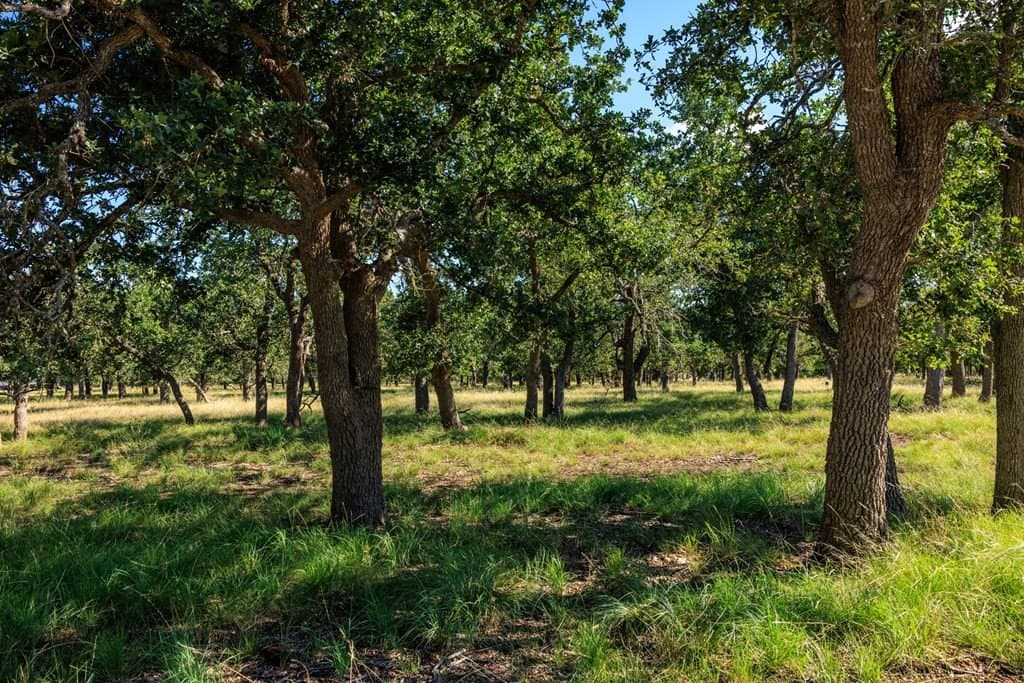 10.34 acres in Gillespie County gallery image 2