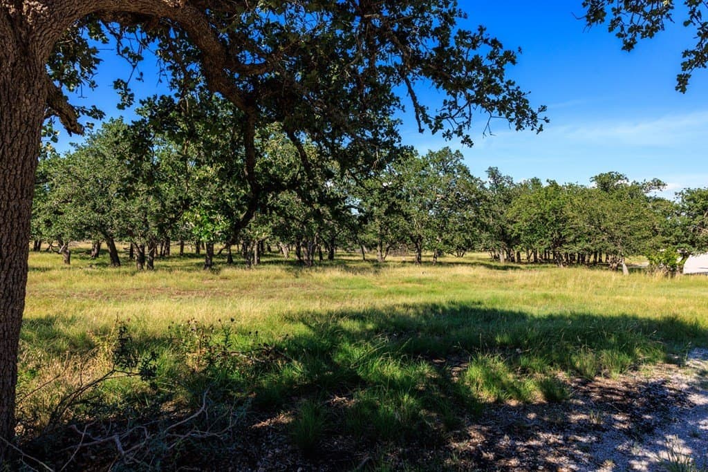 10.34 acres in Gillespie County gallery image 4