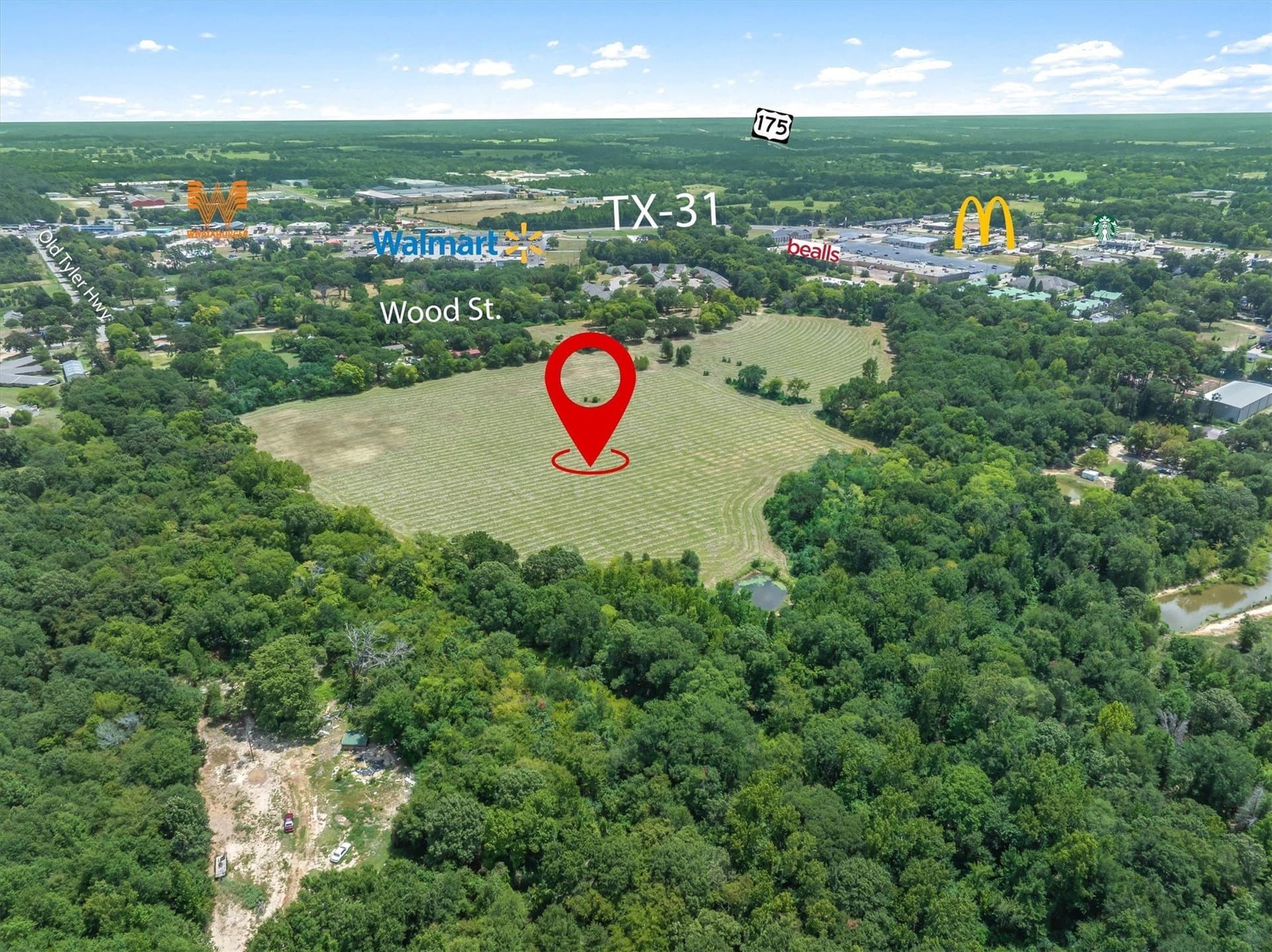 38 acres in Henderson County - photo 17