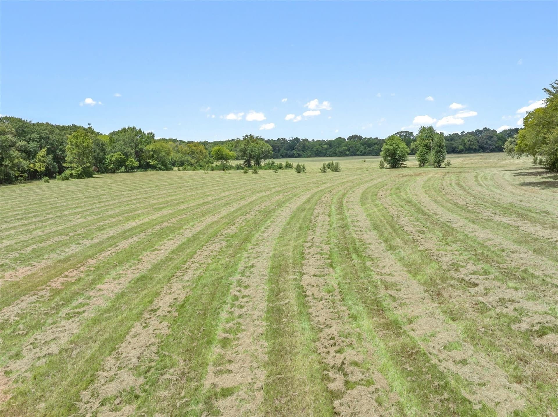 38 acres in Henderson County - photo 12