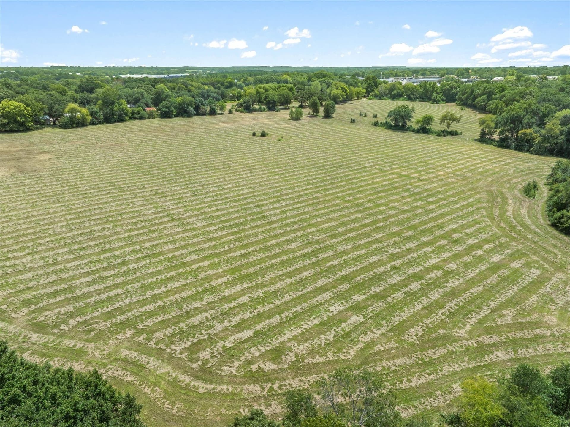 38 acres in Henderson County - photo 15