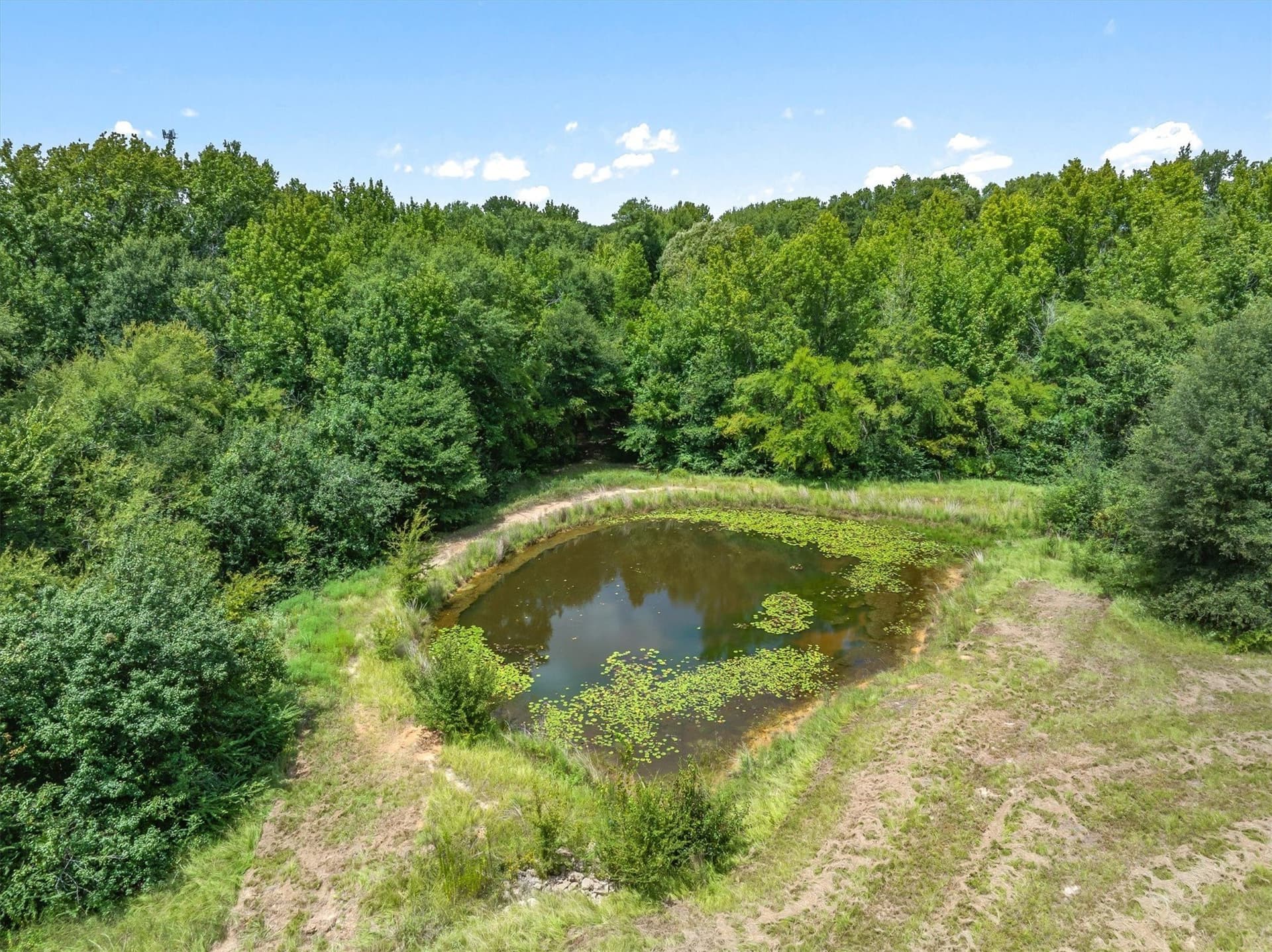 38 acres in Henderson County - photo 14
