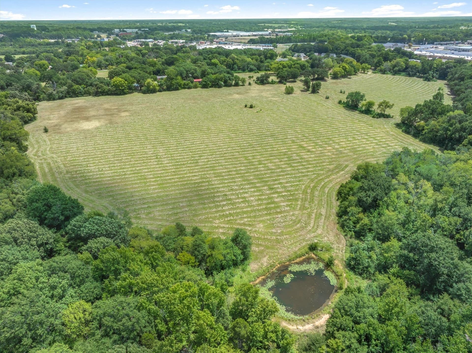 38 acres in Henderson County - photo 16
