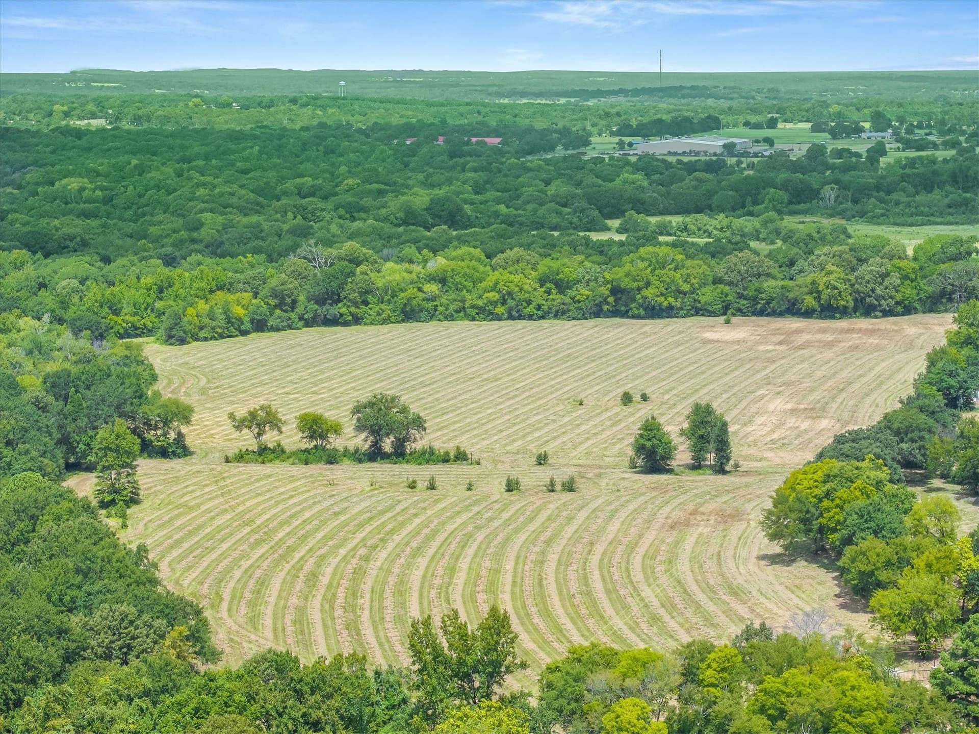 38 acres in Henderson County - photo 6