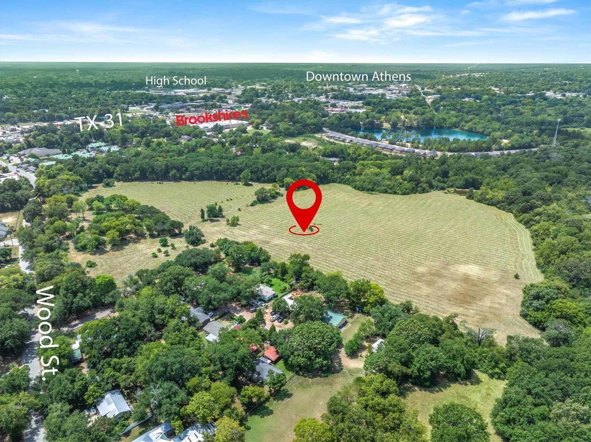 38 acres in Henderson County - photo 5