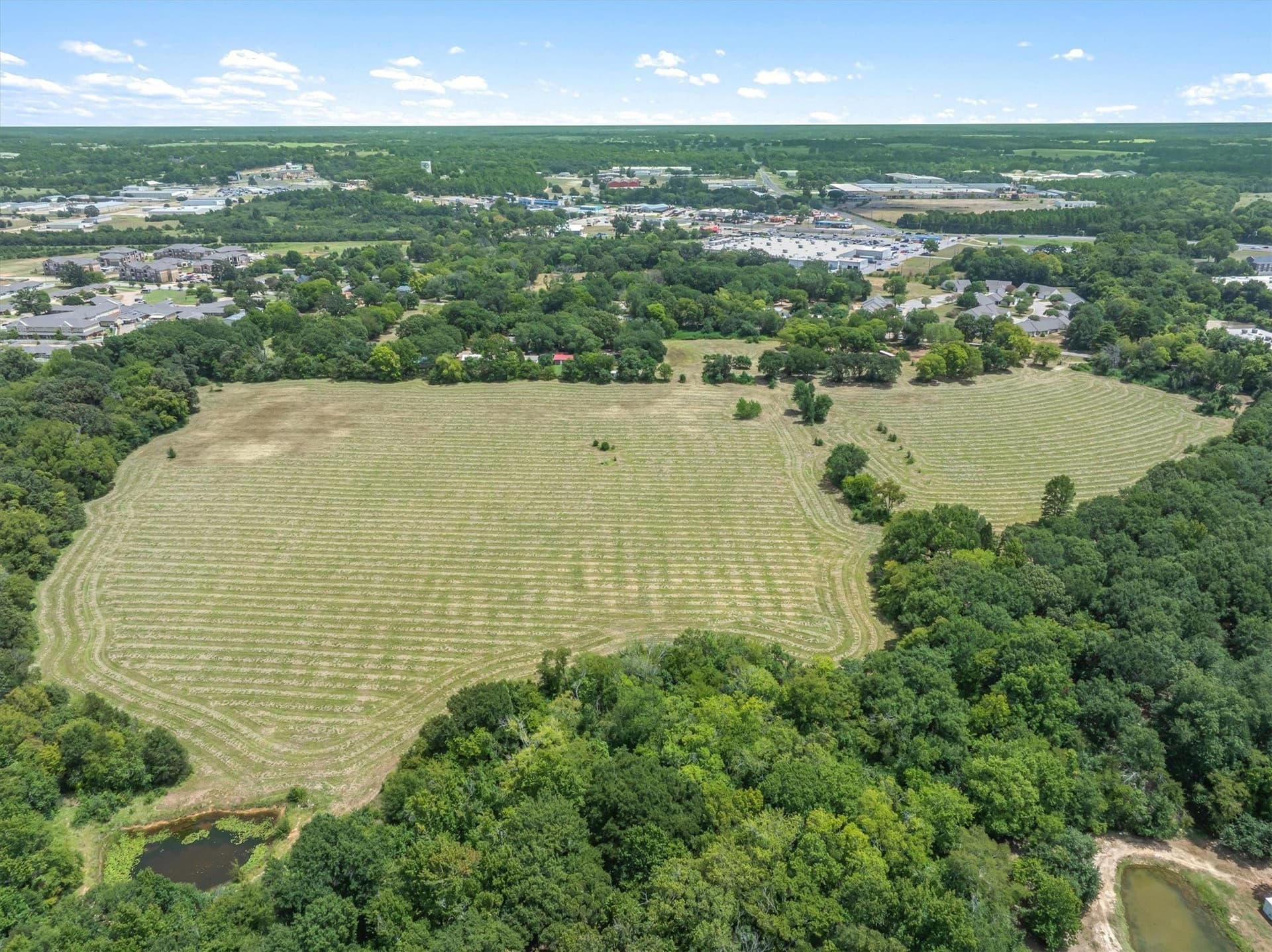 38 acres in Henderson County - photo 20