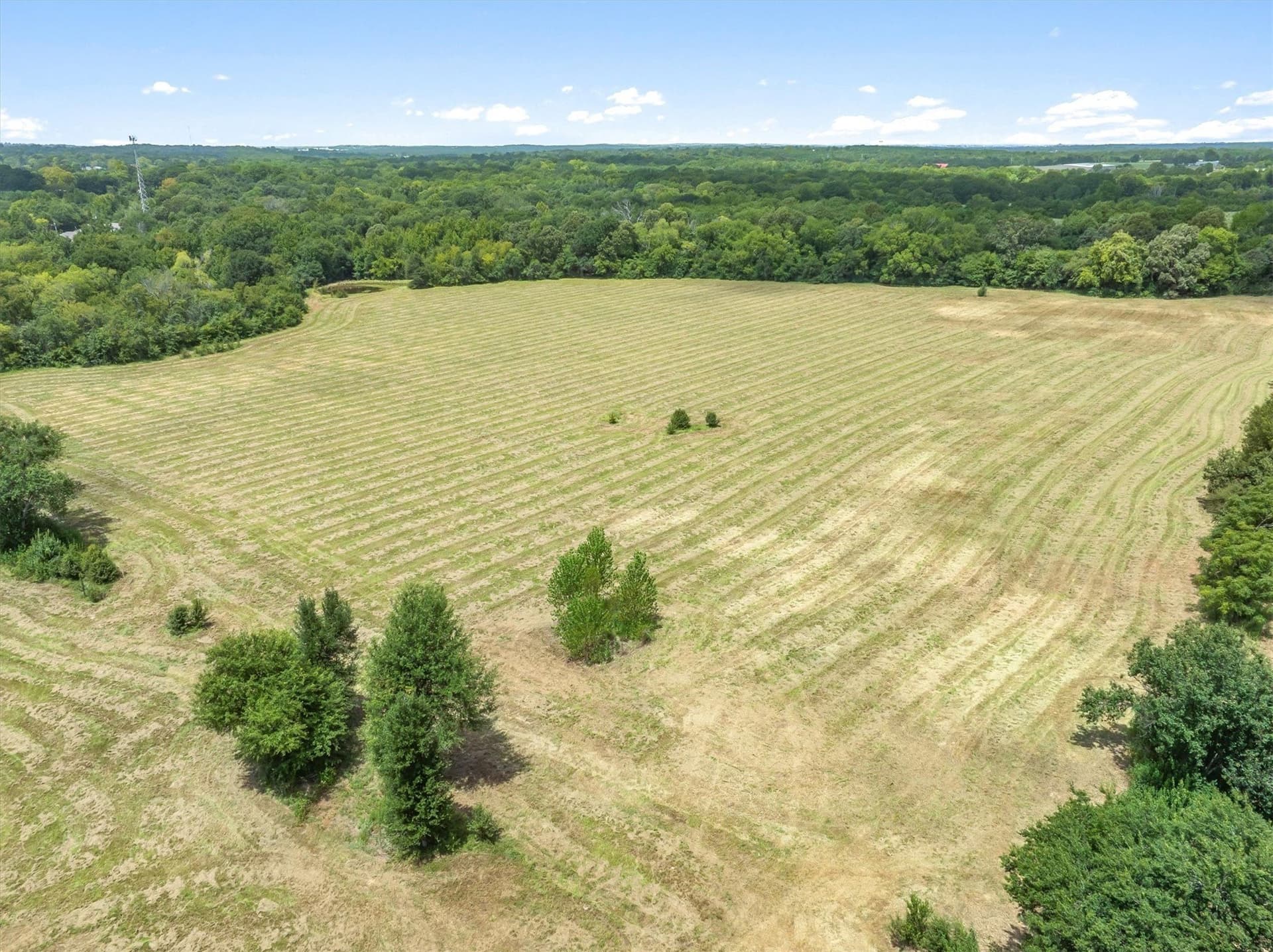 38 acres in Henderson County - photo 13