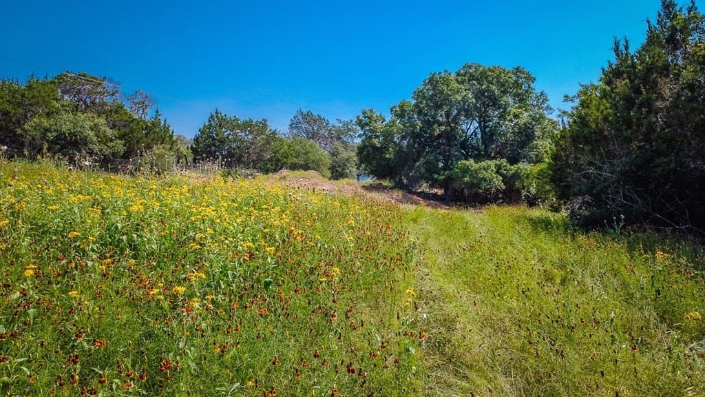 7 acres in Bandera County - photo 8